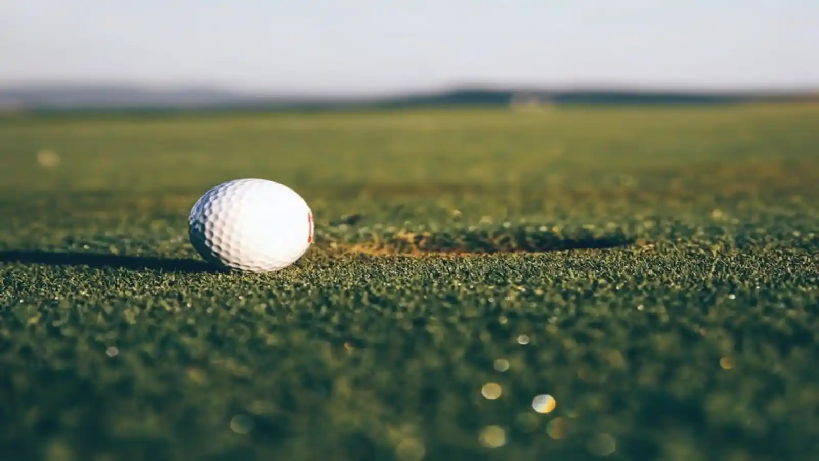 Sobha Windsor Apartments In Whitefield Bangalore Putting-Green